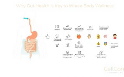 Why Gut Health is Key to Whole-Body Wellness
