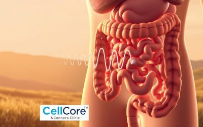 The Science of Peristalsis: How Bowel Mover Helps Move Waste Naturally