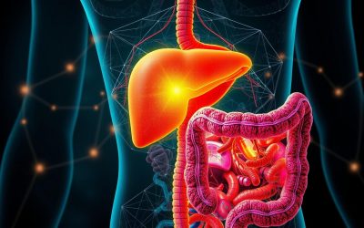 The Connection Between Digestion, Liver Health, and Detoxification