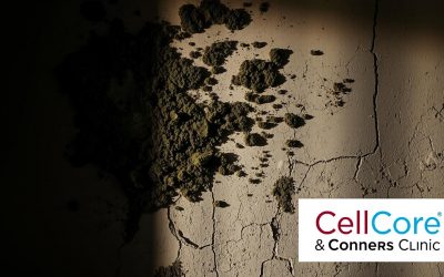 How to Detox from Mold Exposure: 7 Steps to Regain Your Health