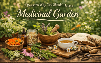 7 Reasons Why You Should Have a Medicinal Garden